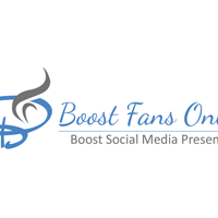 Портфолио Boost Fans Online